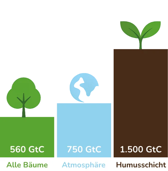 Wichtige Kohlenstoffspeicher halten den Klimawandel auf