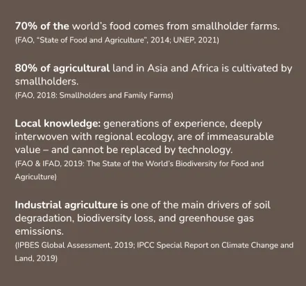 The future of farming lies in the hands of smallholders