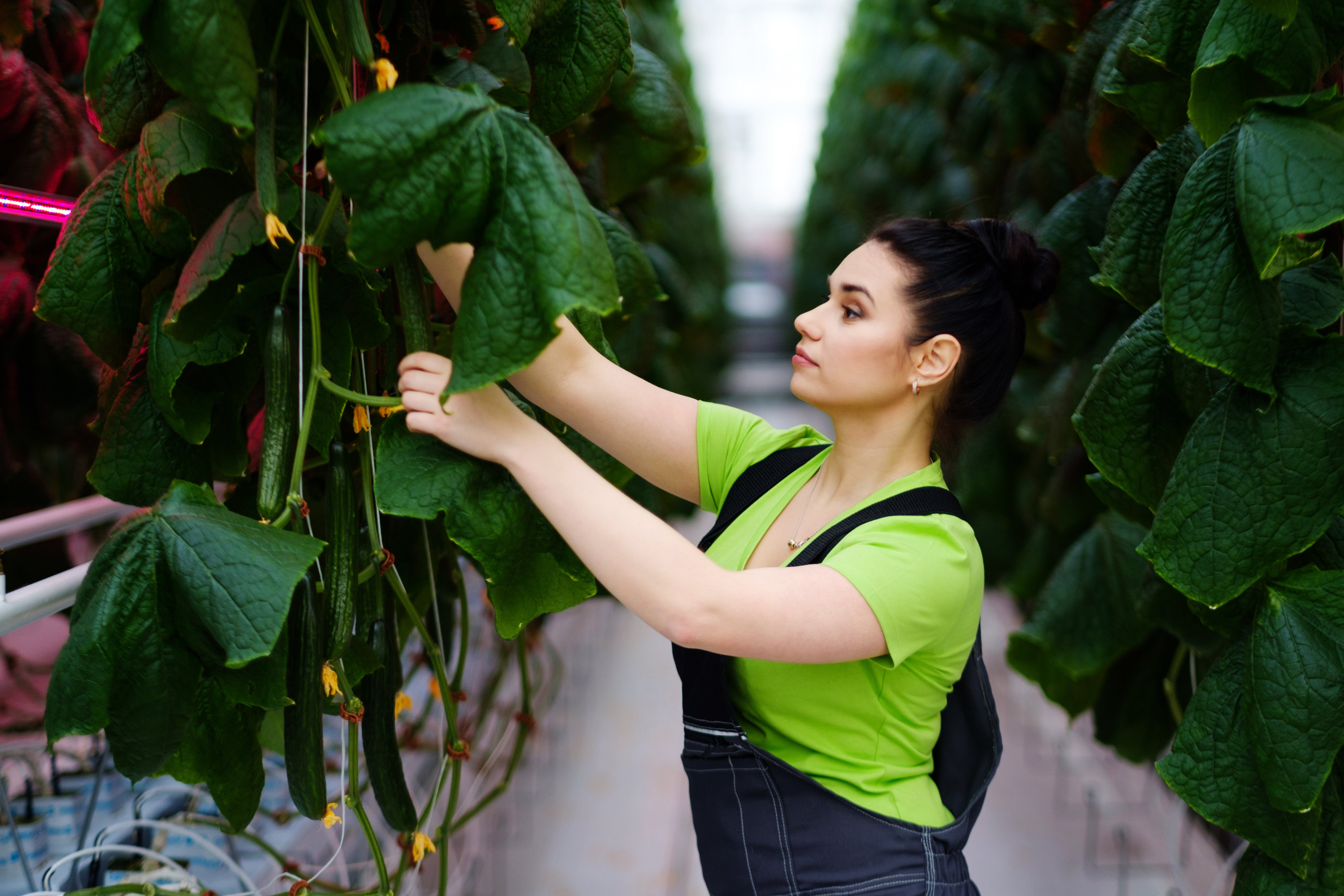 SDG 8.2 - Menschenwürdige Arbeit und Wirtschaftswachstum